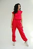 Костюм спортивный Wings Red